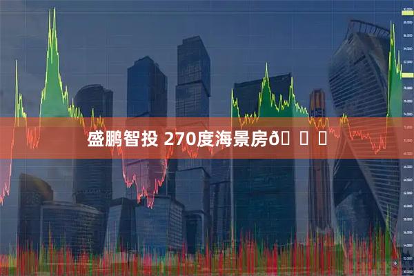 盛鹏智投 270度海景房🌊