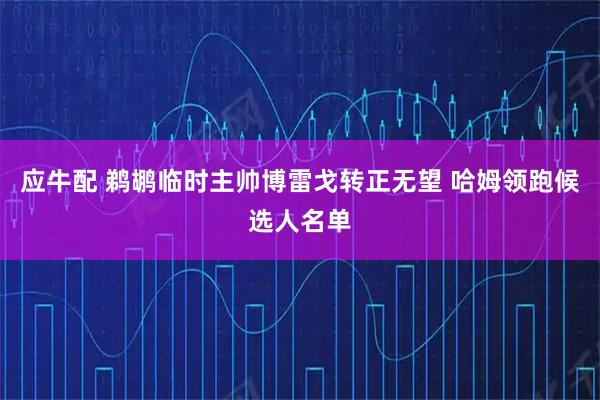应牛配 鹈鹕临时主帅博雷戈转正无望 哈姆领跑候选人名单