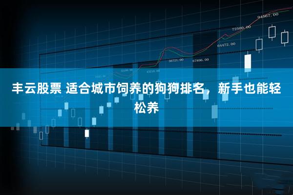 丰云股票 适合城市饲养的狗狗排名,新手也能轻松养